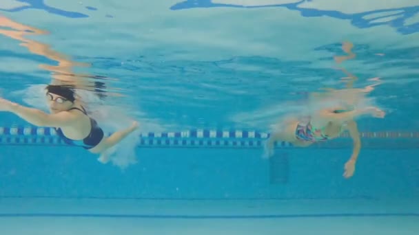 女性アスリートはプールで水中を泳いでいます トレーニング中にプールで泳ぐ女性のスローモーション 水泳者は深海をダイビングする — ストック動画