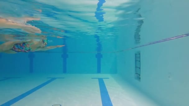 Femeia Atlet Înoată Sub Apă Piscină Mișcarea Lentă Unei Femei — Videoclip de stoc