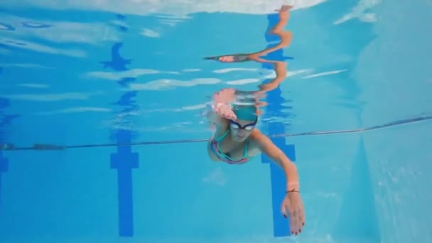女性アスリートはプールで水中を泳いでいます トレーニング中にプールで泳ぐ女性のスローモーション 水泳者は深海をダイビングする — ストック動画