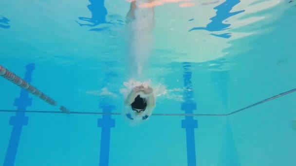 Atleta Donna Nuota Sott Acqua Piscina Rallentamento Nuotatore Femminile Piscina — Video Stock