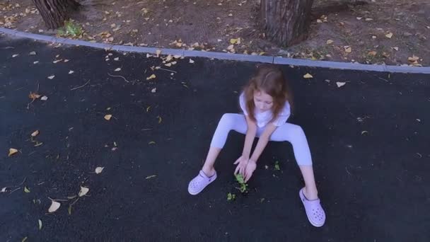 소녀는 도로의 아스팔트를 뿌려진 그녀는 나무를 — 비디오