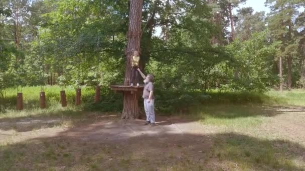 Ένα Παιδί Ένα Πάρκο Περιπέτειας Του Δάσους Φτιαγμένο Από Σχοινιά — Αρχείο Βίντεο