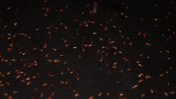 ブラックプレートの上のゆっくりとした動きで落ちる生の亜麻の種子 自然食品を通して健康的な食事 — ストック動画