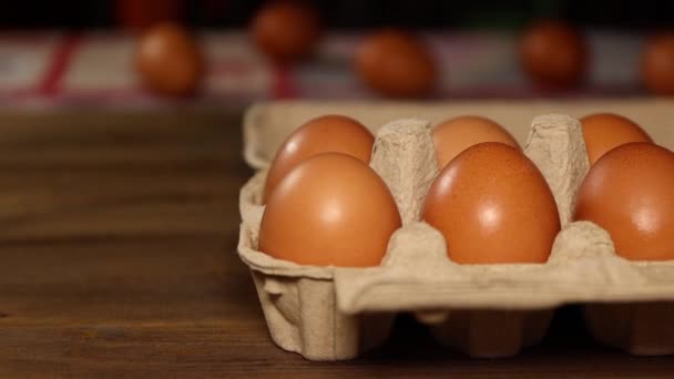 Huevos Una Gallina Una Caja Cartón Biodegradable Cámara Lenta — Vídeo de stock