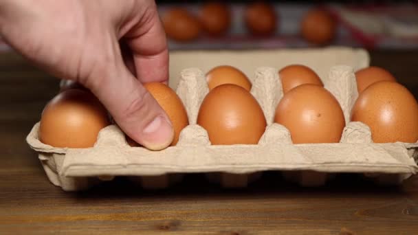 Mengambil Tangan Telur Dari Kotak Kardus Biodegradable — Stok Video
