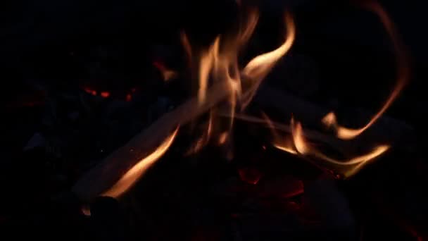 Oheň Krbu Zpomal Video Ohně Plamenů Zblízka — Stock video