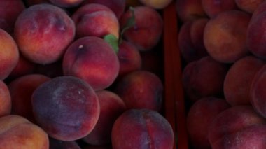 Mağazadaki bir rafta sulu şeftaliler. Yazın olgun meyveler