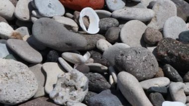 Kumsalda çakıl taşları. Deniz kıyısında yuvarlak taşlar ve kabuklar