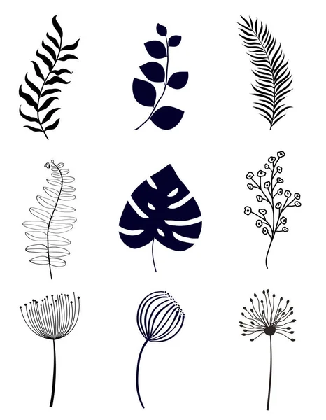 Set Floral Elements Isolated White Vector Illustration — Stock Vector
