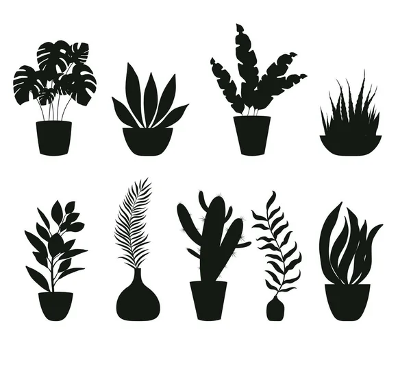 Домашние Растения Цветочных Горшках Вазах Черные Силуэты Векторная Иллюстрация — стоковый вектор