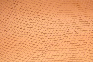 Kahverengi balıkçı ağı, yumuşak kahverengi arka planda