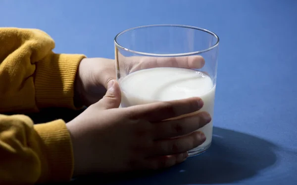 glass glass with milk in the hands of little child, yellow and blue colors
