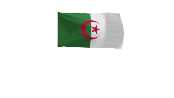 Representación Bandera Argelia Ondeando Viento — Vídeos de Stock