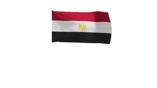 Зображення Прапора Єгипту Який Махає Вітром — стокове відео