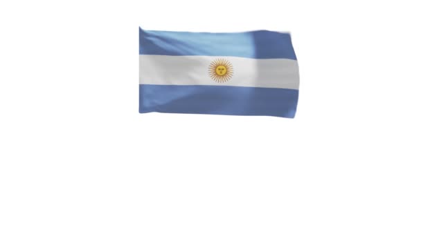 Representación Bandera Argentina Ondeando Viento — Vídeos de Stock