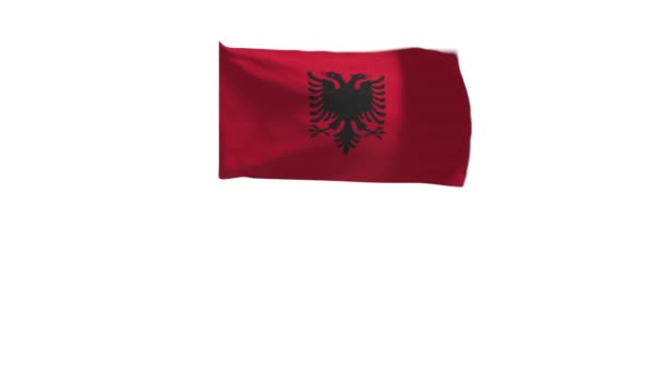 Representación Bandera Albania Ondeando Viento — Vídeos de Stock