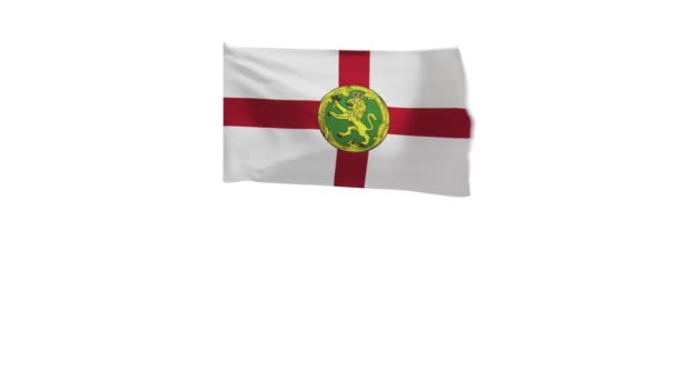 風に揺れるオルダニーの旗の3Dレンダリング — ストック動画