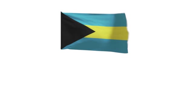 Rendering Della Bandiera Delle Bahamas Che Sventola Nel Vento — Video Stock