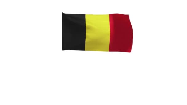 Belgias Flagg Vifter Med Vinden – stockvideo