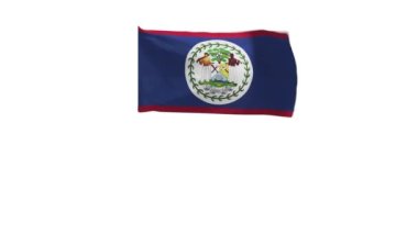 Rüzgarda sallanan Belize bayrağının 3D yansıması.