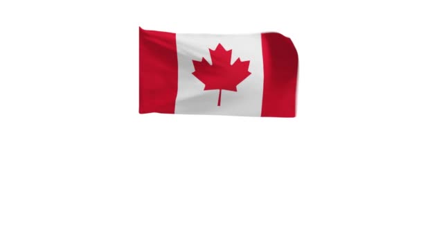 Representación Bandera Canadá Ondeando Viento — Vídeos de Stock