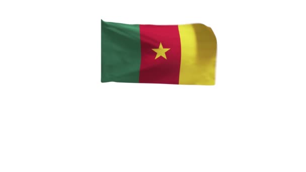 Рендеринг Флага Камеруна Машущего Ветром — стоковое видео