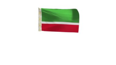 Rüzgarda dalgalanan Çeçenistan bayrağının 3D görüntüsü.