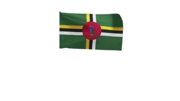 Vykreslování Vlajky Dominiky Vlnící Větru — Stock video
