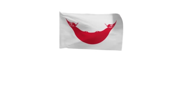 Renderowanie Flagi Wyspy Wielkanocnej Machając Wietrze — Wideo stockowe