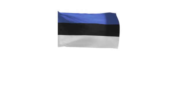 Renderização Bandeira Estônia Acenando Vento — Vídeo de Stock