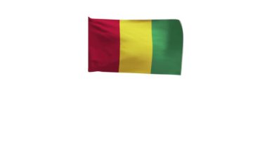 Rüzgarda dalgalanan Gine bayrağının 3D görüntüsü.