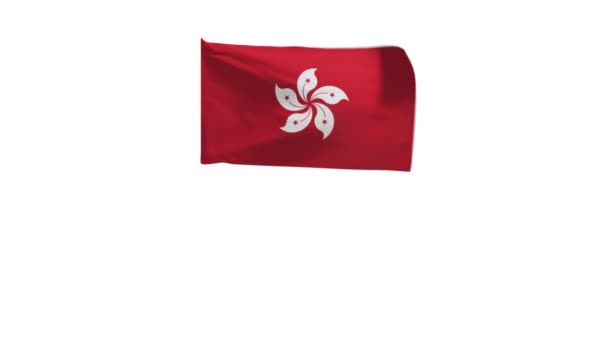 Απόδοση Της Σημαίας Του Χονγκ Κονγκ Κυματίζει Στον Άνεμο — Αρχείο Βίντεο