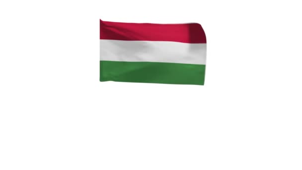 Representación Bandera Hungría Ondeando Viento — Vídeos de Stock