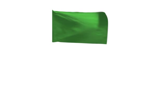 Rendering Flag Libya Waving Wind — Stock Video