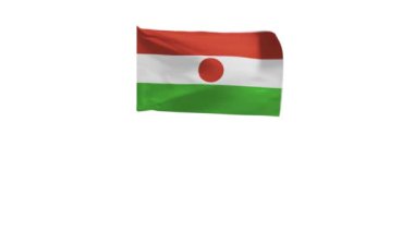 Rüzgarda sallanan Nijer bayrağının 3D görüntüsü.