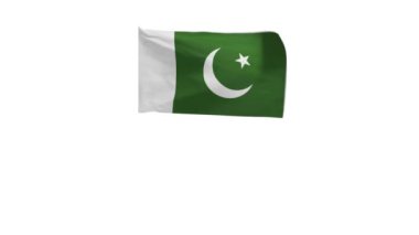 Pakistan bayrağının rüzgarda dalgalanan 3D görüntüsü..