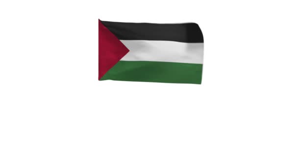 Rendering Flag Palestine Waving Wind — Stock Video