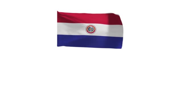 Darstellung Der Flagge Panamas Die Wind Weht — Stockvideo