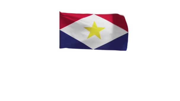 Representación Bandera Saba Ondeando Viento — Vídeo de stock