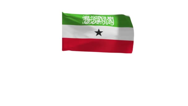 Representación Bandera Somalilandia Viento — Vídeos de Stock