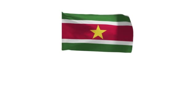 Darstellung Der Flagge Surinams Die Wind Weht — Stockvideo