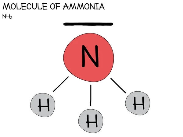 Infografía Grande Detallada Molécula Amoníaco — Vector de stock