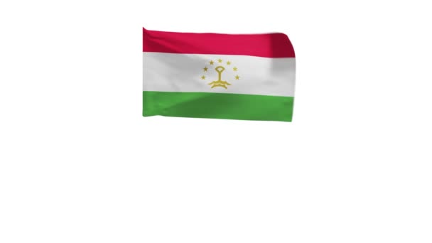 Рендеринг Флага Таджикистана Машущего Ветром — стоковое видео
