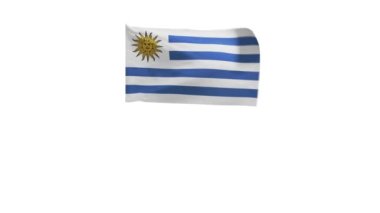 Rüzgarda dalgalanan Uruguay bayrağının 3D yansıması.