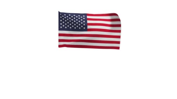 Återgivning Amerikas Förenta Staters Flagga Viftande Vinden — Stockvideo