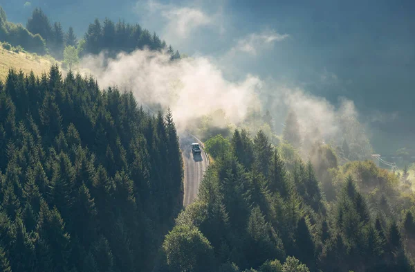 Yarı sisli ormanda yol