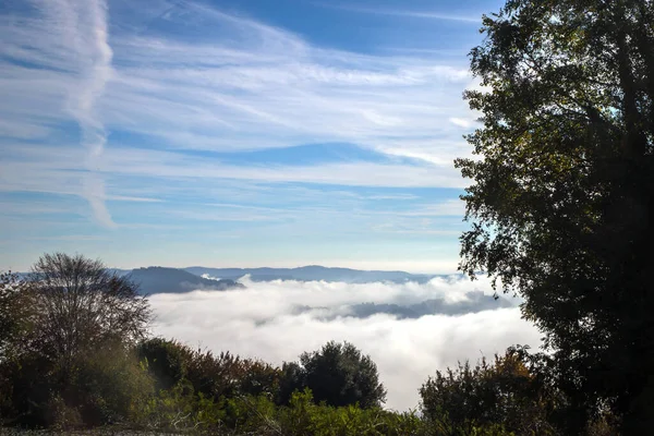 Gökyüzü. Dağlardaki sisin mistik sabah fotoğrafı..