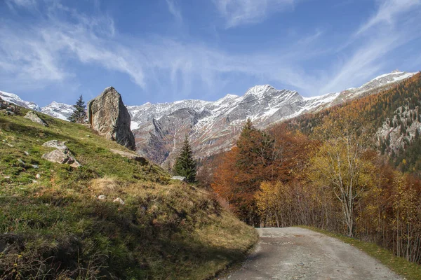 Dağ manzarası. Orman ve dağlar arasındaki yol.