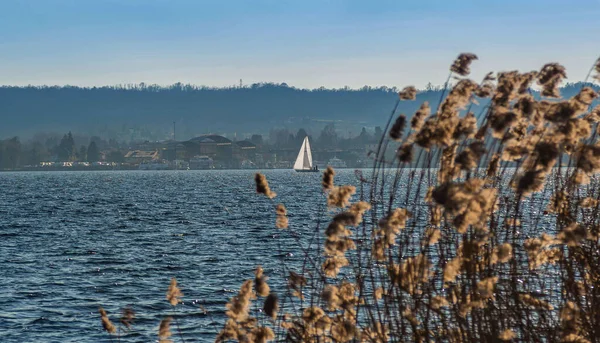 Maggiore Gölü 'nde yelkenli tekneler şehrin önünden geçiyor.