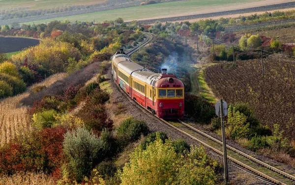 Tren rayları üzerinde ağaçlar ve tarlalar arasında gidiyor.